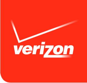 NAP of the Americas: Terremark Verizon Open House